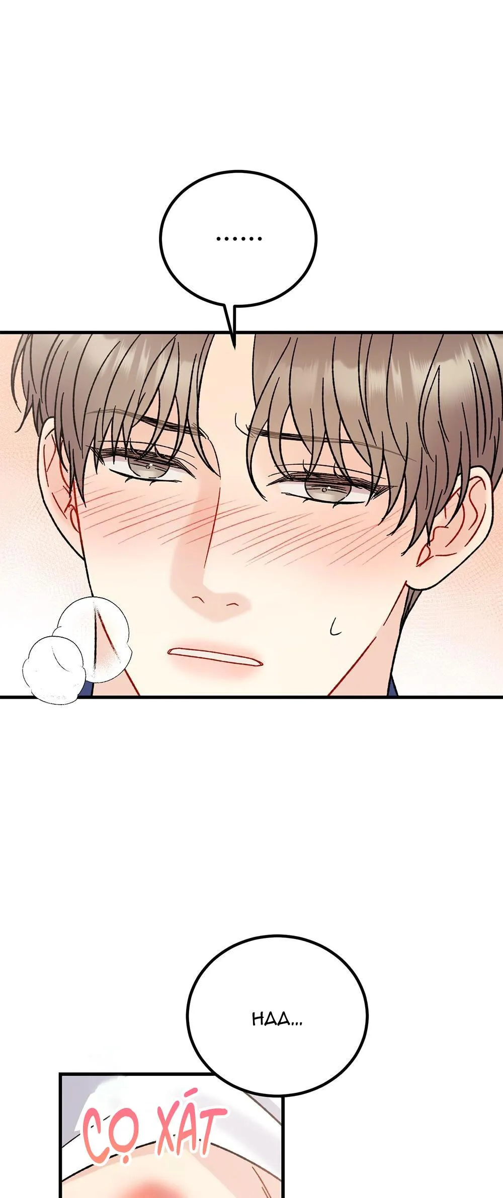 CẬU KHÔNG PHẢI LÀ GU CỦA TÔI Chapter 26 Trang 12