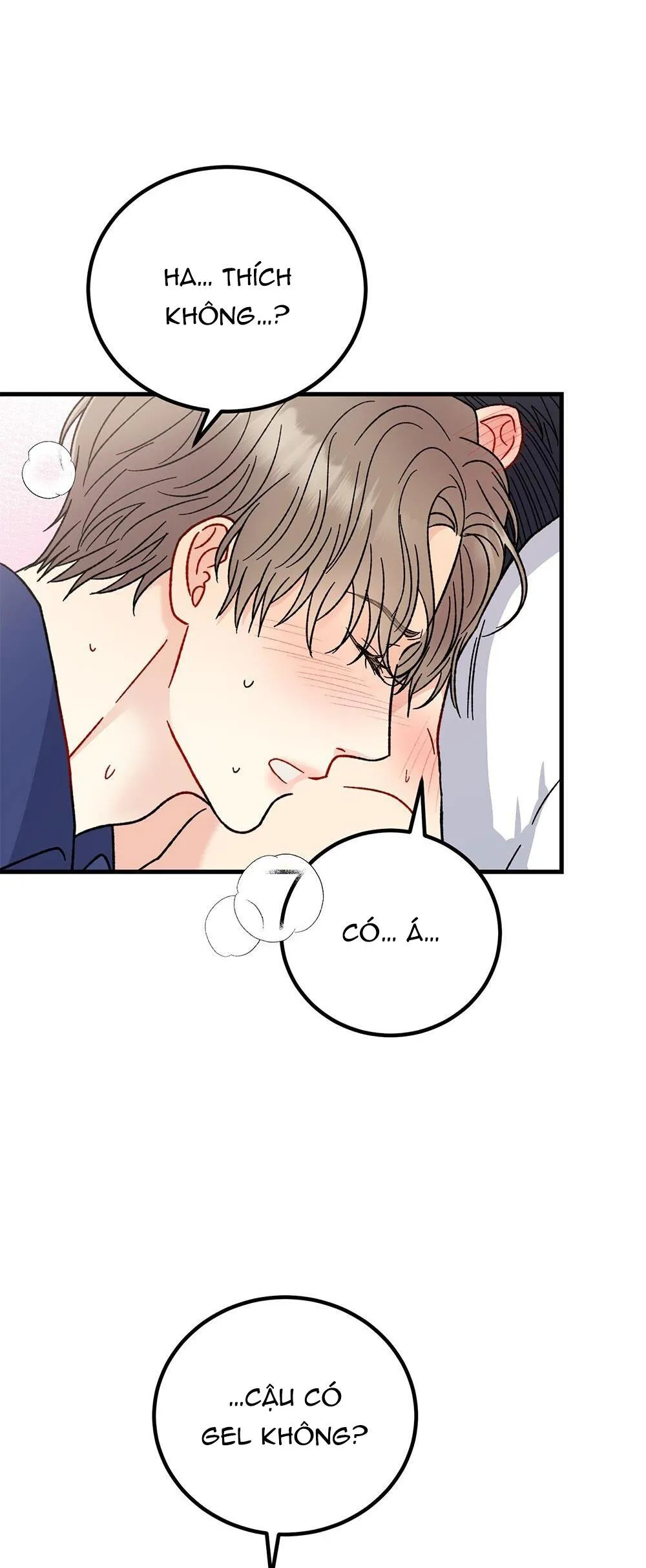 CẬU KHÔNG PHẢI LÀ GU CỦA TÔI Chapter 26 Trang 33