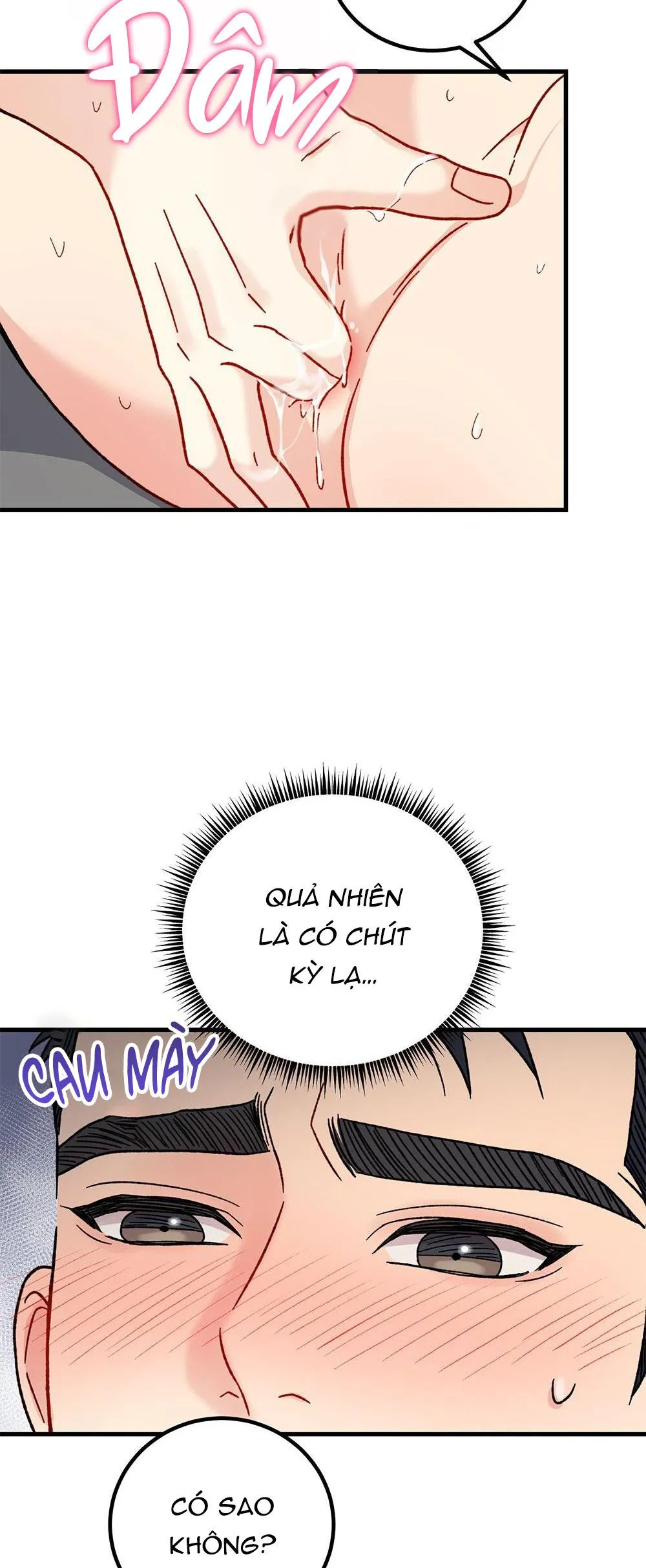 CẬU KHÔNG PHẢI LÀ GU CỦA TÔI Chapter 26 Trang 38