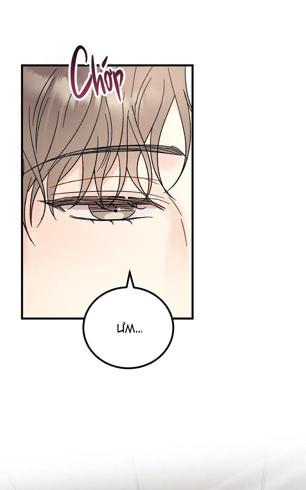 CẬU KHÔNG PHẢI LÀ GU CỦA TÔI Chapter 27 Trang 26