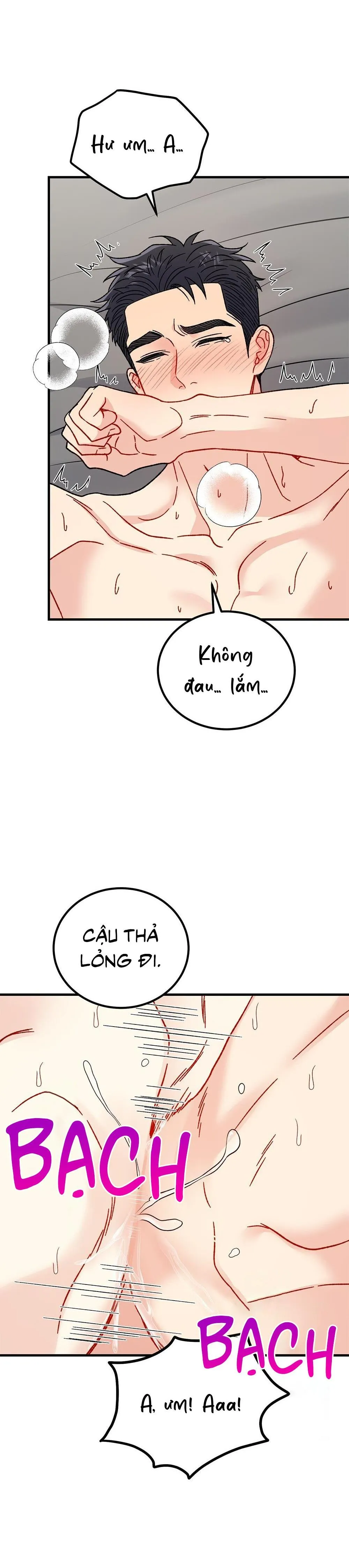 CẬU KHÔNG PHẢI LÀ GU CỦA TÔI Chapter 33 Trang 33