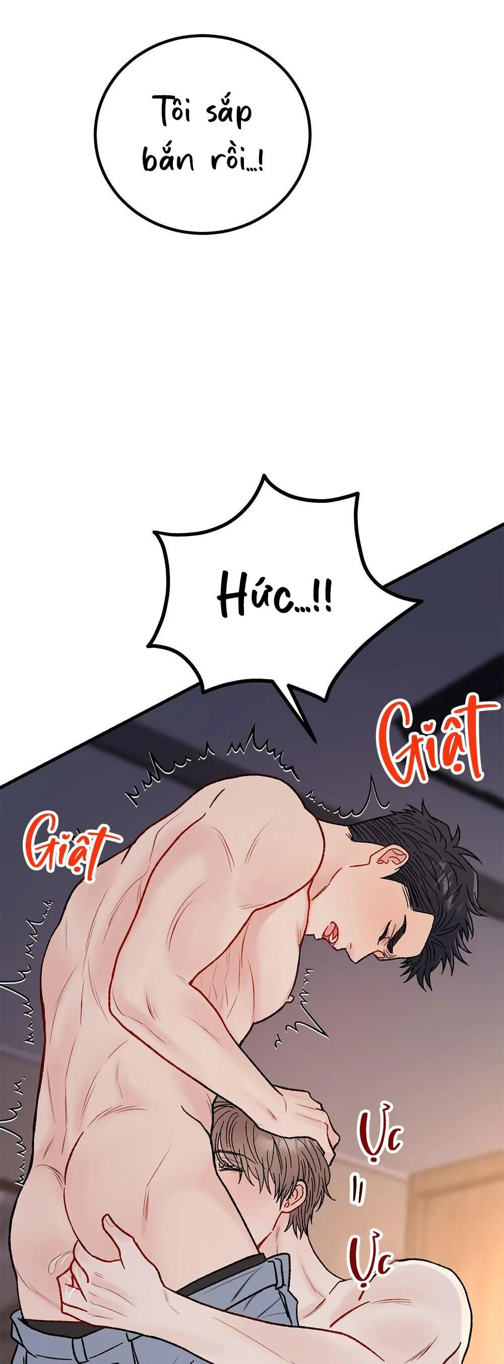 CẬU KHÔNG PHẢI LÀ GU CỦA TÔI Chapter 36 Trang 52