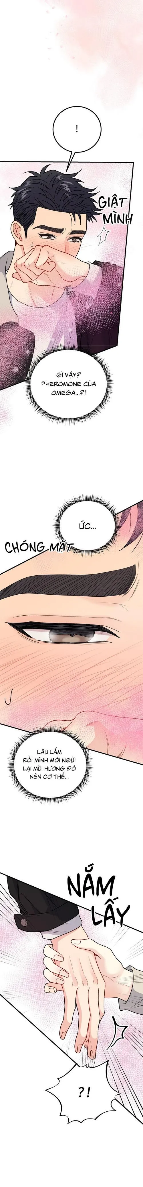 CẬU KHÔNG PHẢI LÀ GU CỦA TÔI Chapter 37 Trang 8