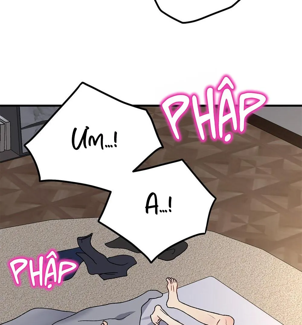 CẬU KHÔNG PHẢI LÀ GU CỦA TÔI Chapter 39 Trang 77