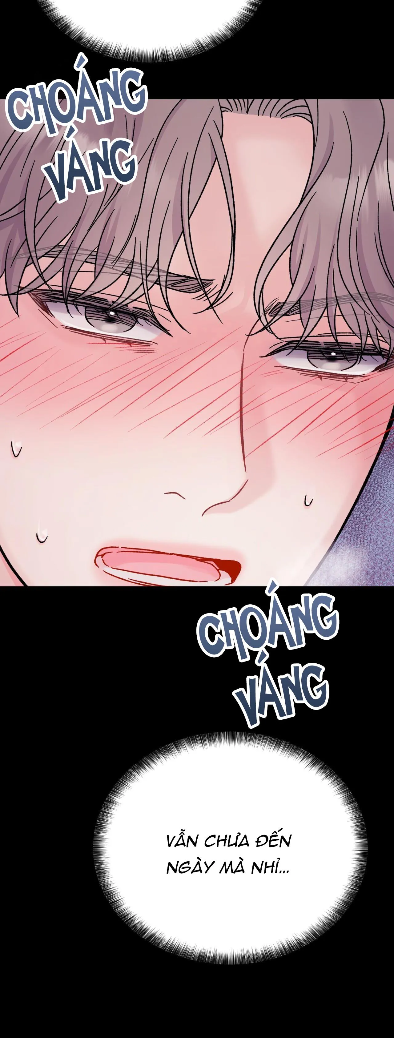 CẬU KHÔNG PHẢI LÀ GU CỦA TÔI Chapter 4 Trang 11