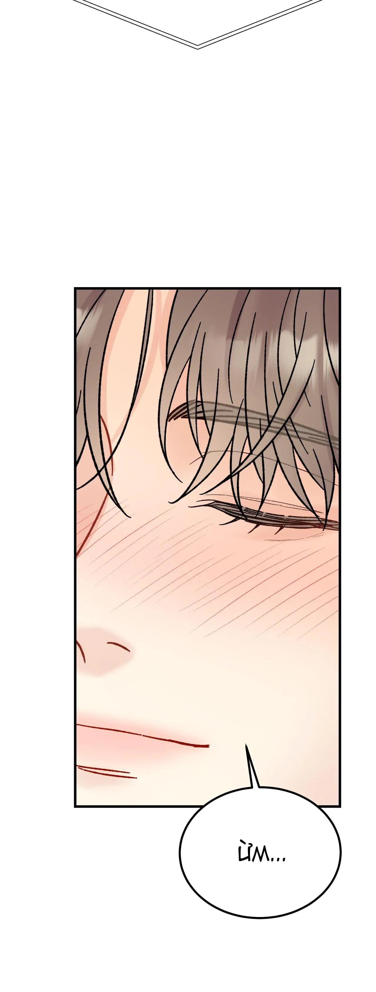 CẬU KHÔNG PHẢI LÀ GU CỦA TÔI Chapter 4 Trang 46