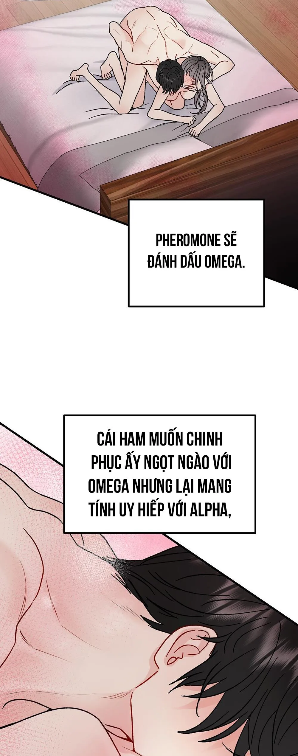 CẬU KHÔNG PHẢI LÀ GU CỦA TÔI Chapter 40 Trang 5