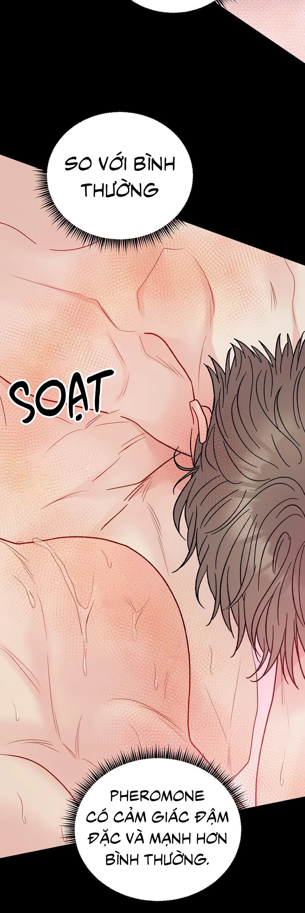 CẬU KHÔNG PHẢI LÀ GU CỦA TÔI Chapter 40 Trang 71