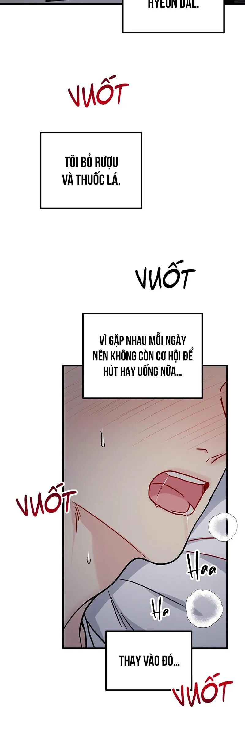 CẬU KHÔNG PHẢI LÀ GU CỦA TÔI Chapter 47 Trang 51