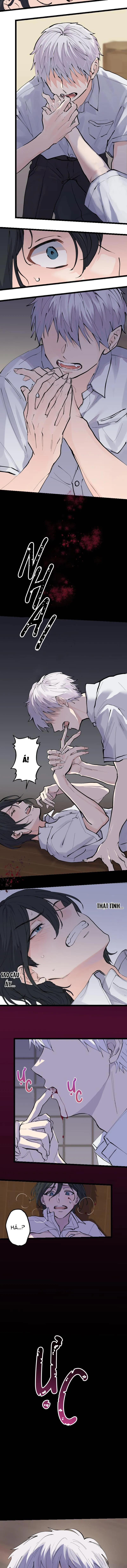 Cậu Là Ma Cà Rồng Dưới Ánh Mặt Trời Chapter 2 Trang 9