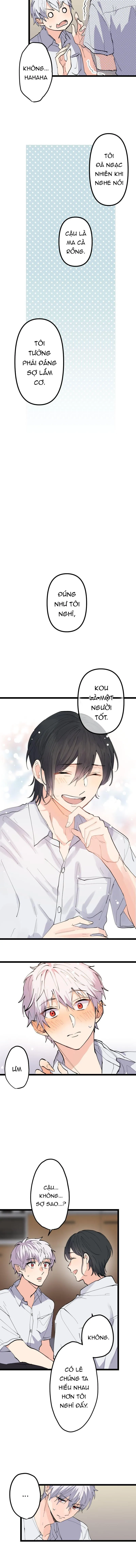 Cậu Là Ma Cà Rồng Dưới Ánh Mặt Trời Chapter 3 Trang 6