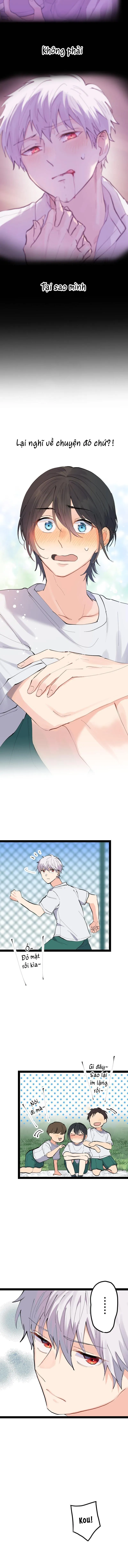 Cậu Là Ma Cà Rồng Dưới Ánh Mặt Trời Chapter 4 Trang 4