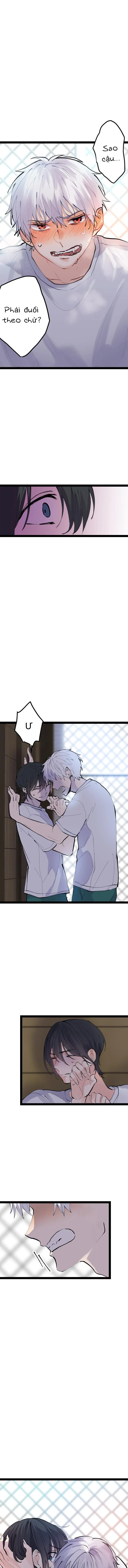 Cậu Là Ma Cà Rồng Dưới Ánh Mặt Trời Chapter 4 Trang 8