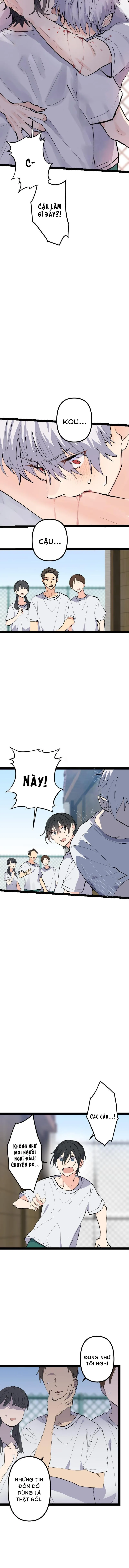 Cậu Là Ma Cà Rồng Dưới Ánh Mặt Trời Chapter 4 Trang 9