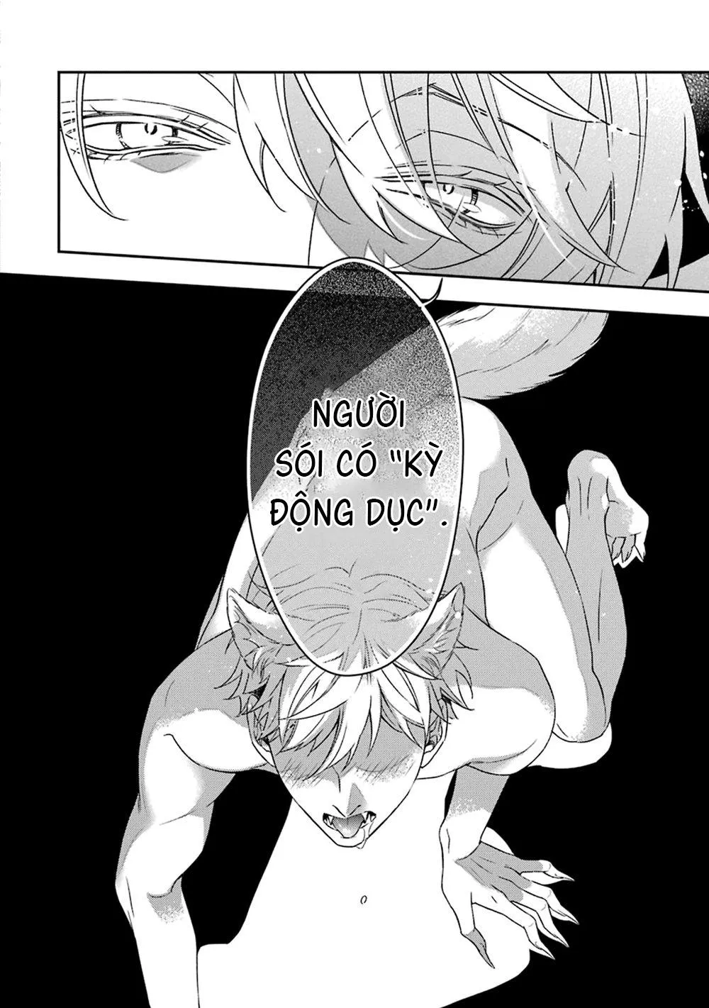 Cậu người sói này muốn ăn thịt chàng thám tử ưa thích của mình Chapter 3 Trang 31