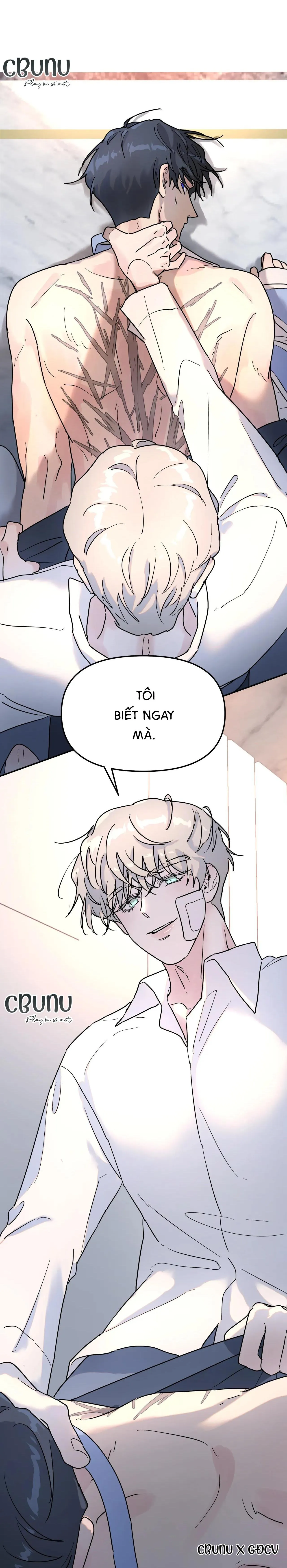 Cây Không Có Rễ Chapter 12 Trang 4