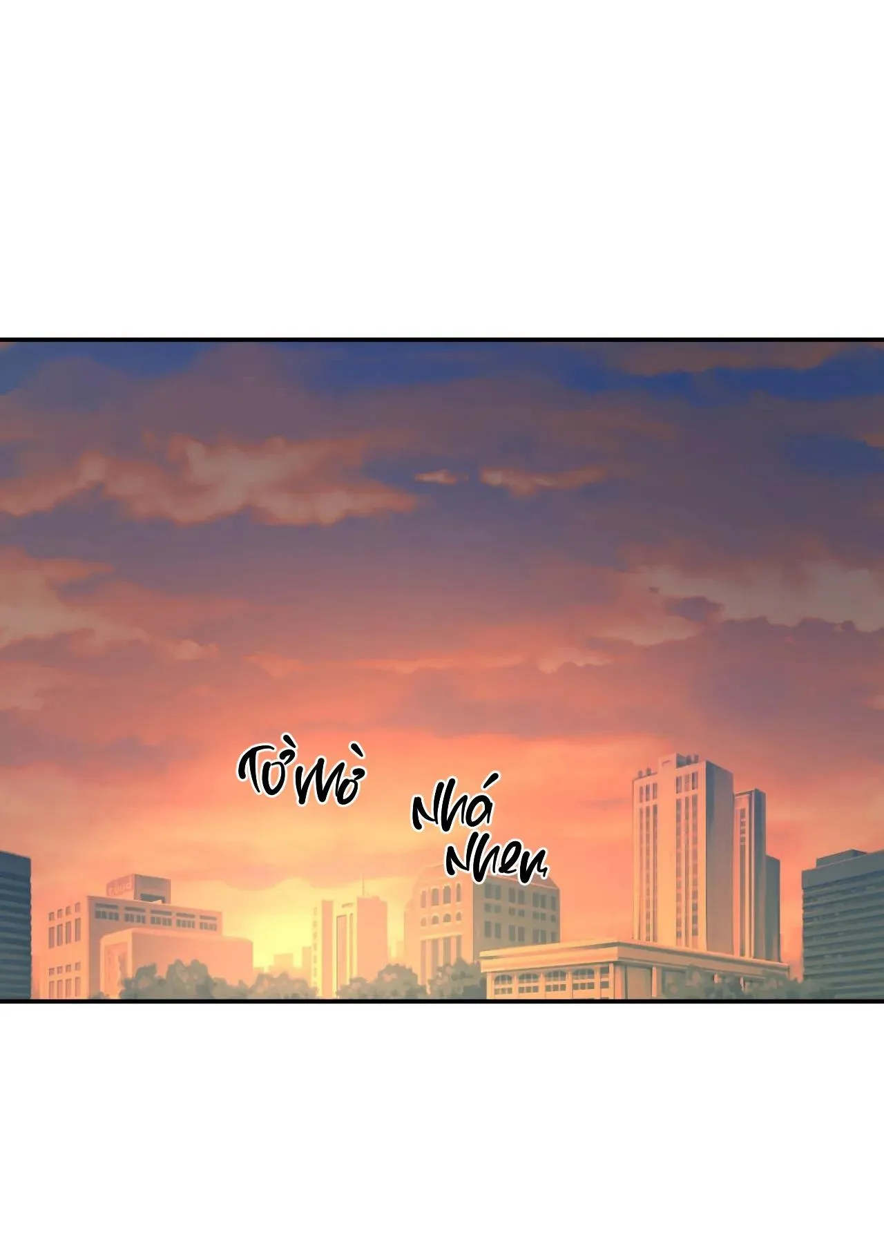 Cây Không Có Rễ Chapter 13 Trang 12