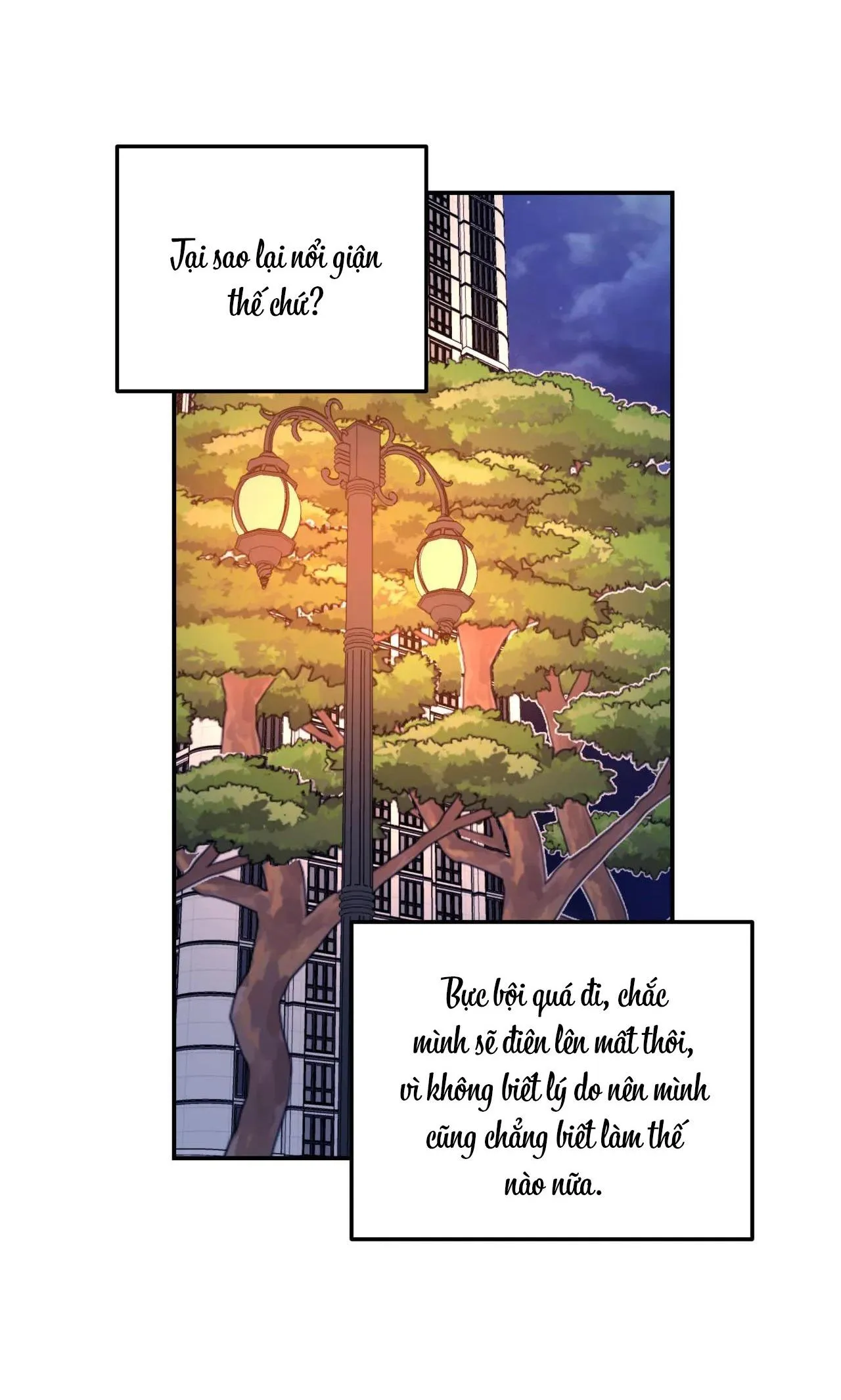 Cây Không Có Rễ Chapter 16 Trang 62