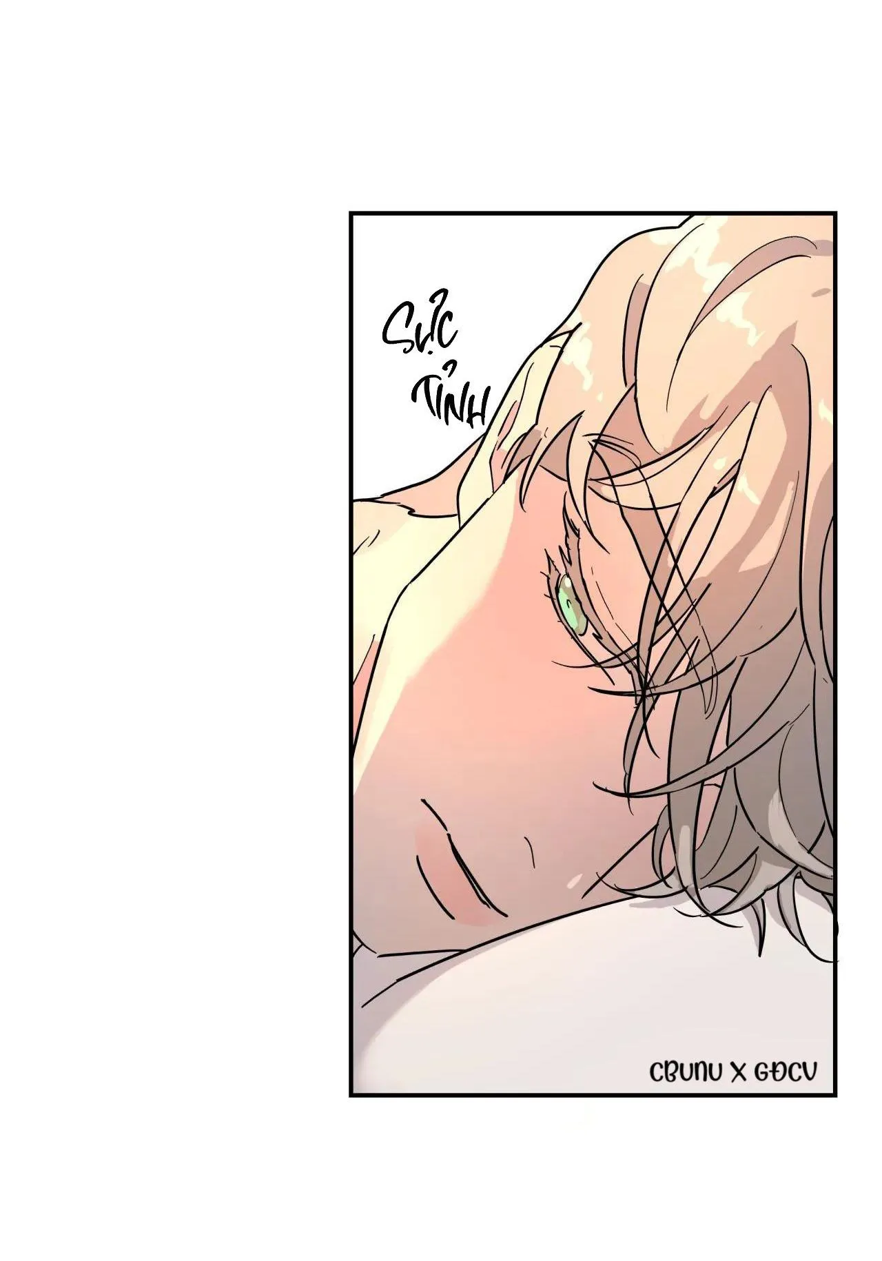 Cây Không Có Rễ Chapter 20 Trang 14