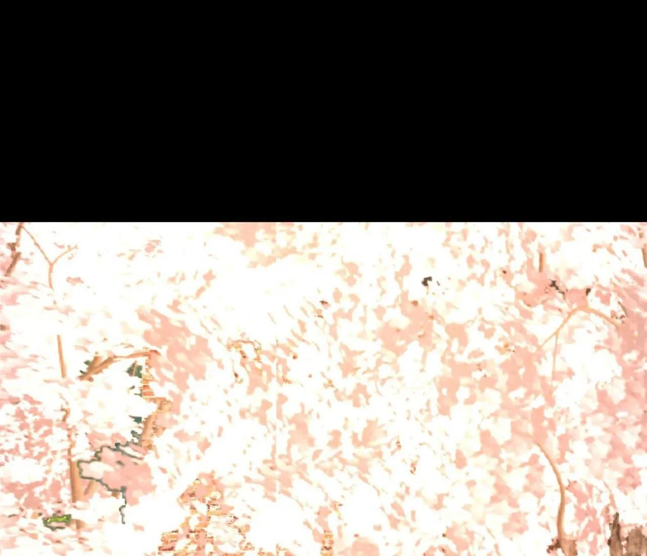 Cây Không Có Rễ Chapter 23 Trang 3