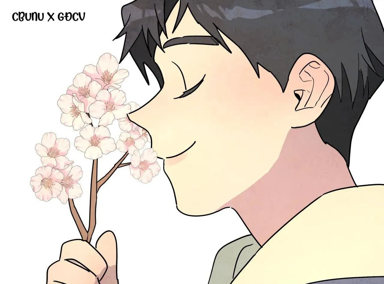 Cây Không Có Rễ Chapter 23 Trang 7