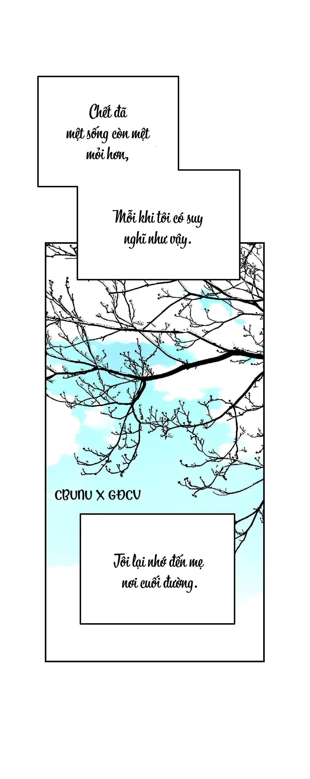 Cây Không Có Rễ Chapter 25 Trang 5