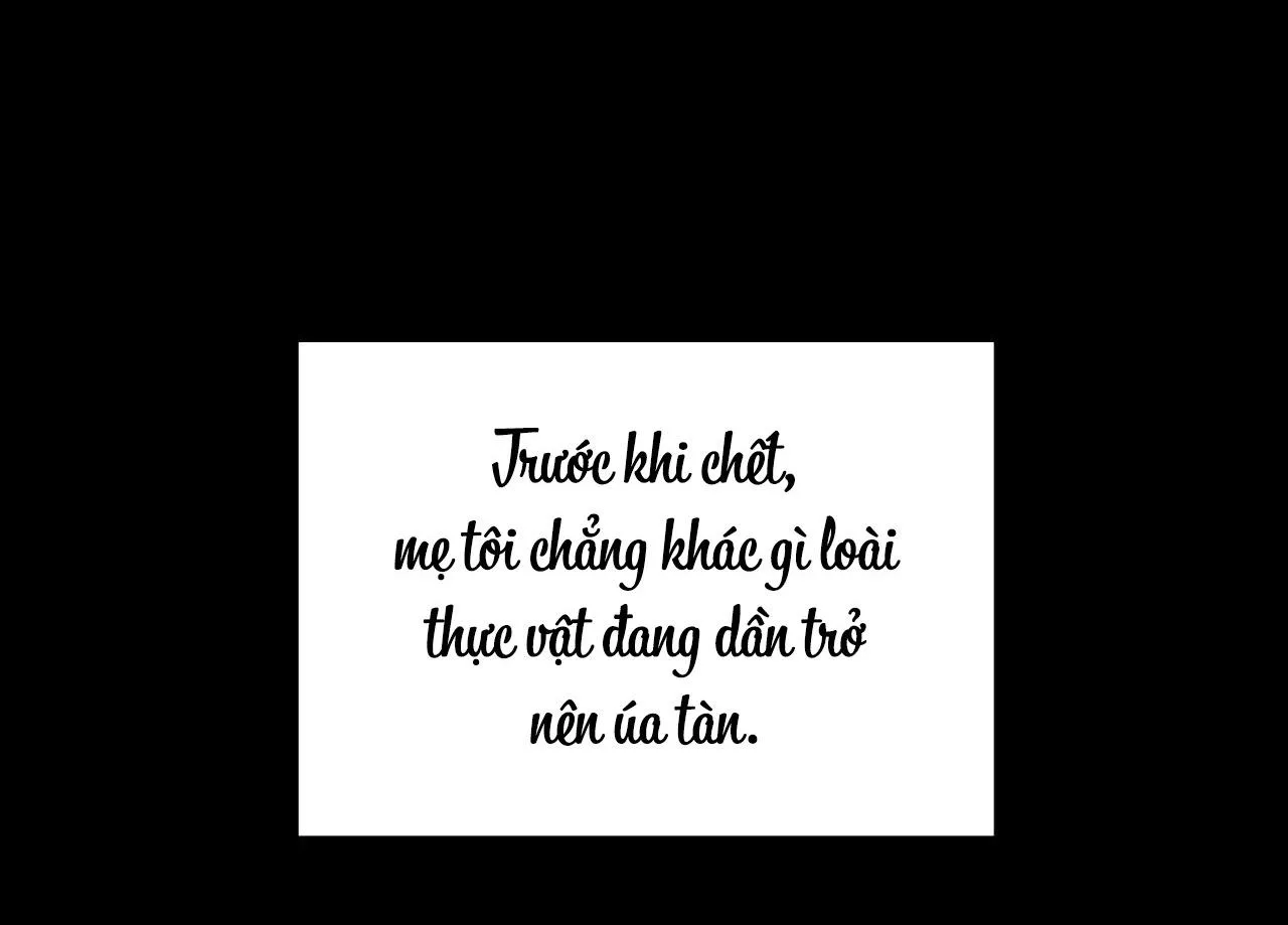 Cây Không Có Rễ Chapter 25 Trang 57