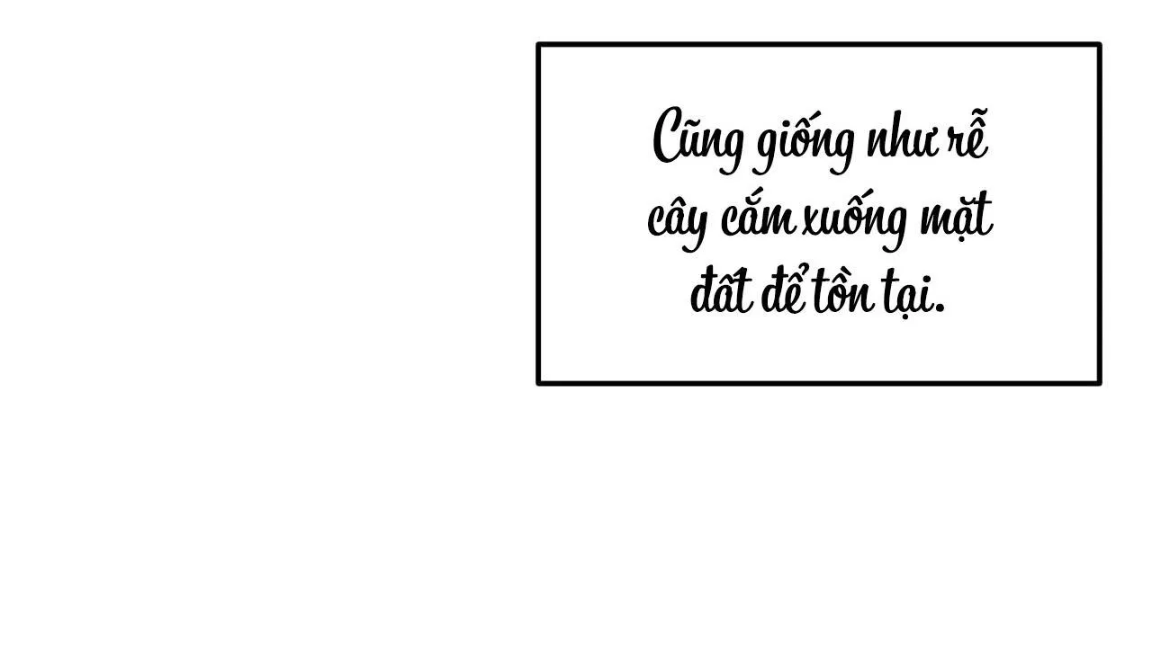 Cây Không Có Rễ Chapter 26 Trang 92