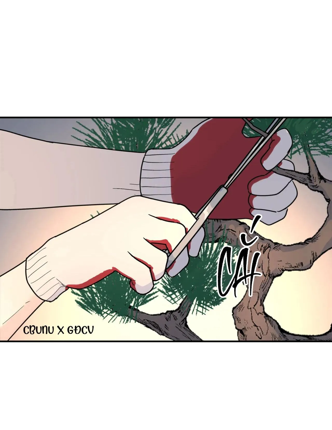 Cây Không Có Rễ Chapter 27 Trang 77