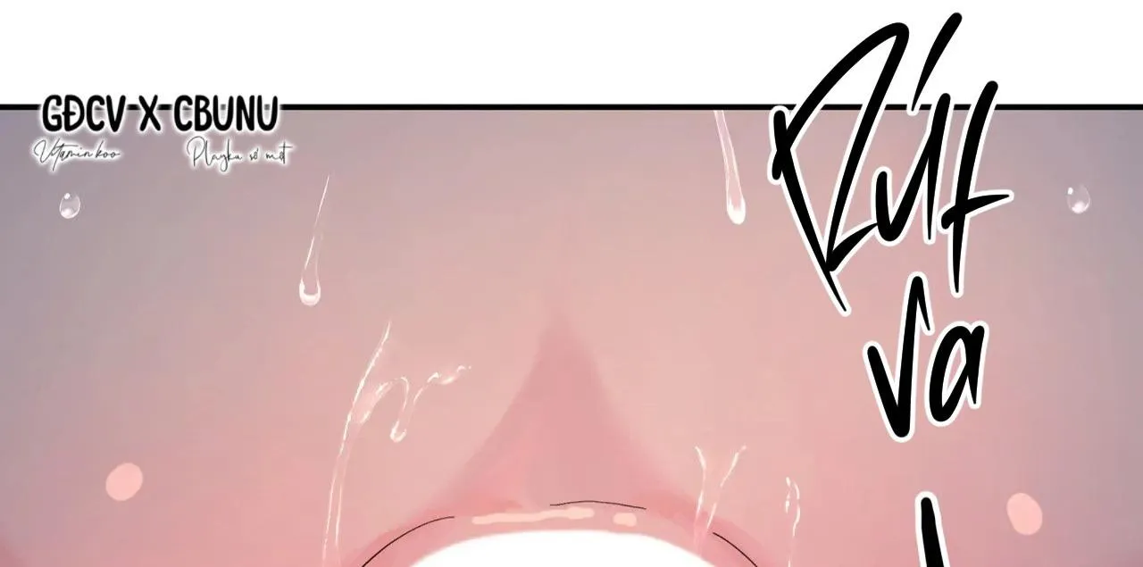 Cây Không Có Rễ Chapter 31 Trang 13