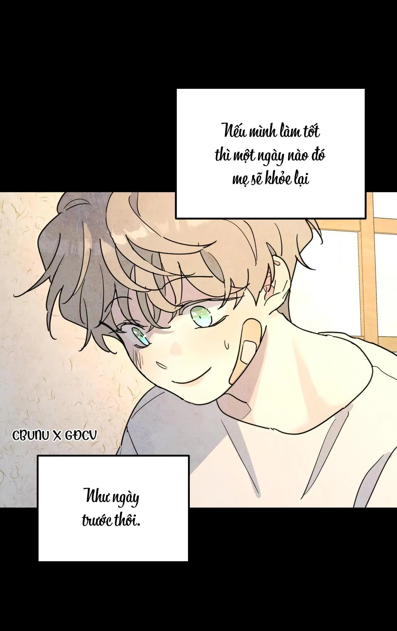 Cây Không Có Rễ Chapter 33 Trang 15