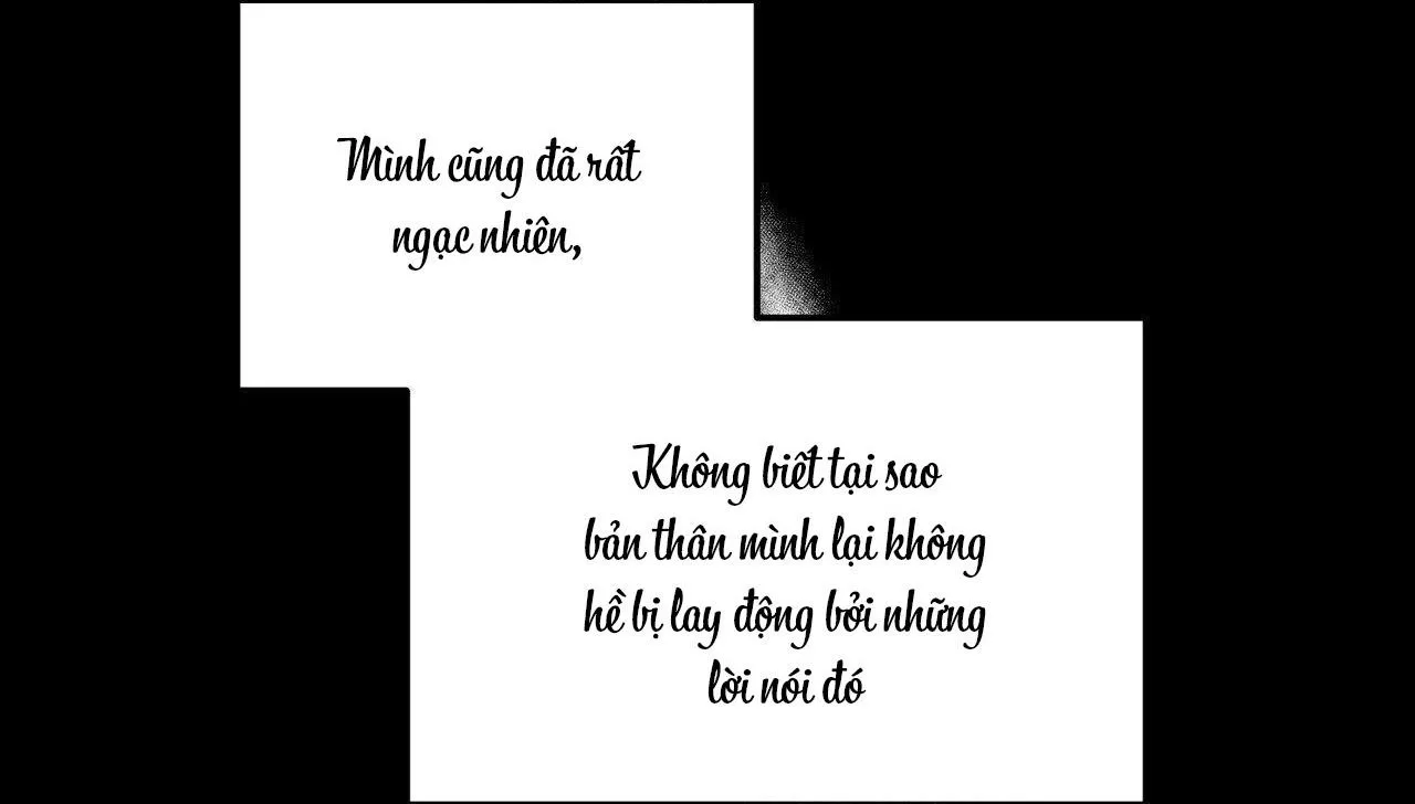 Cây Không Có Rễ Chapter 40 Trang 7