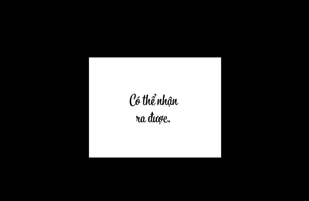 Cây Không Có Rễ Chapter 40 Trang 11