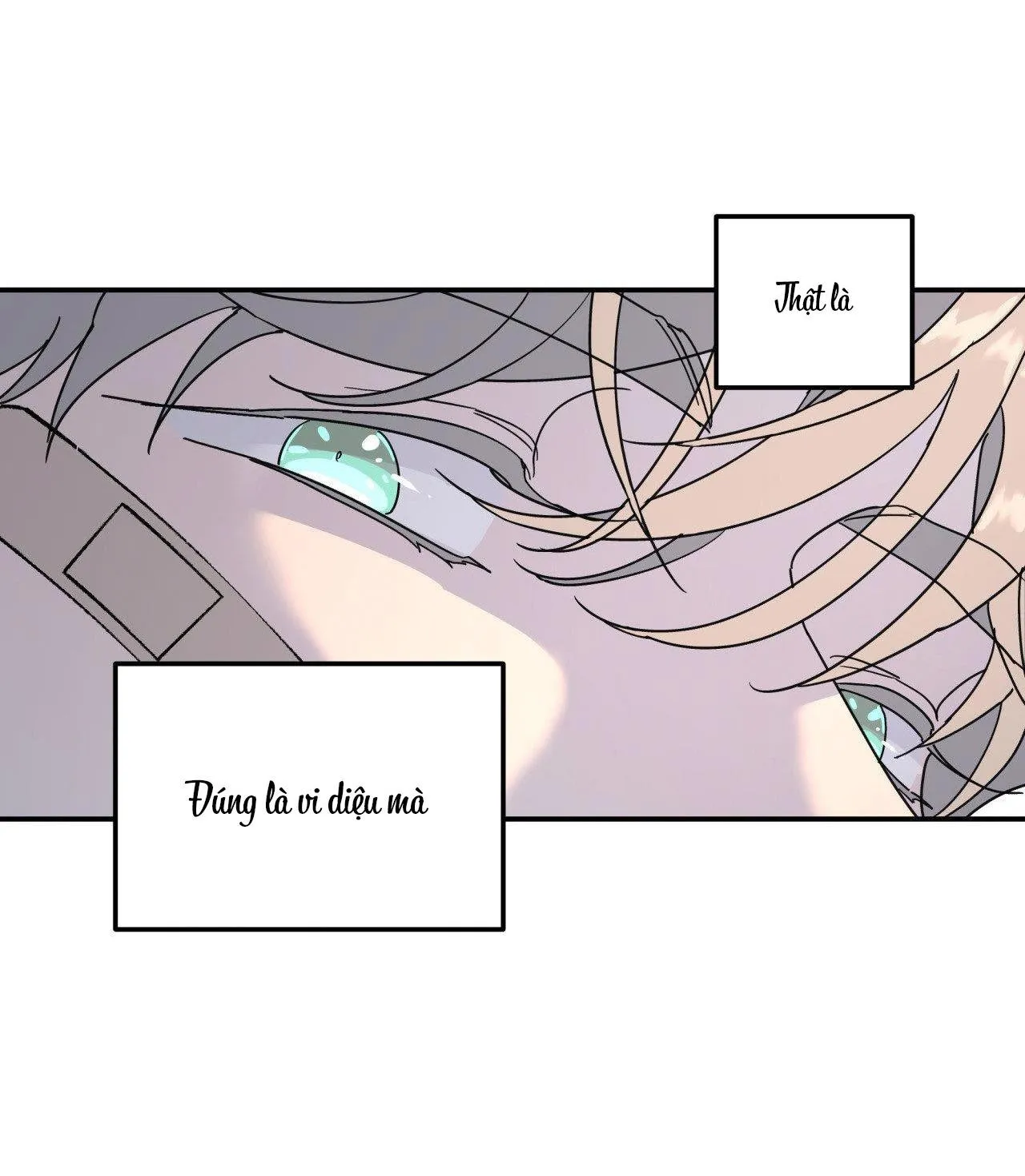 Cây Không Có Rễ Chapter 40 Trang 69