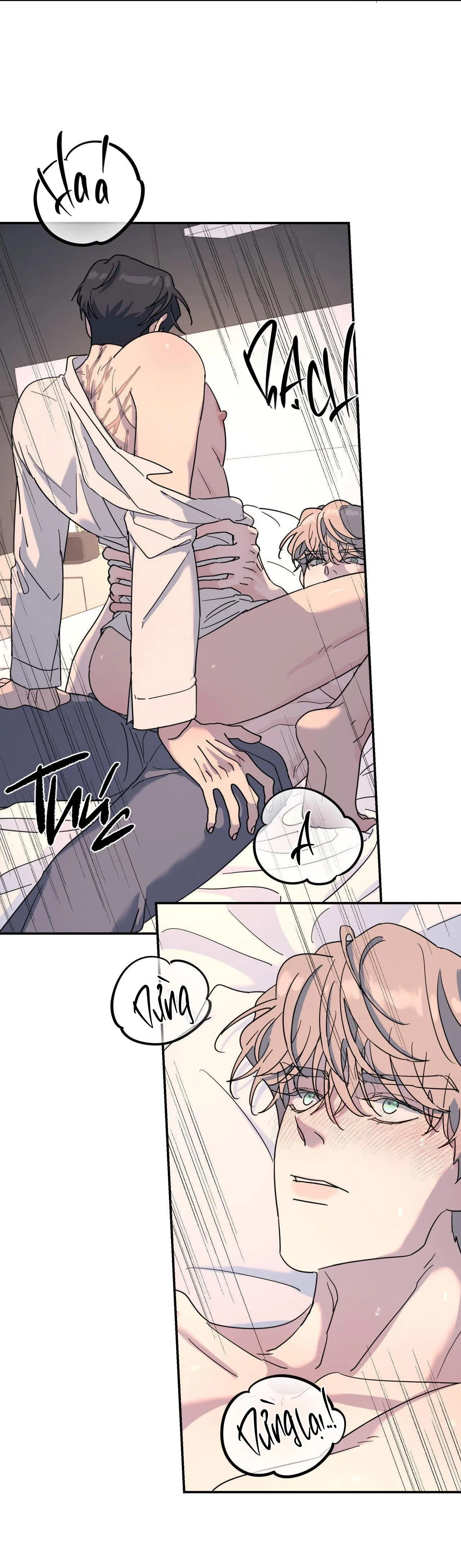 Cây Không Có Rễ Chapter 43 Trang 39