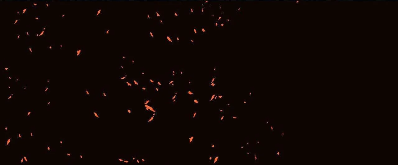 Cây Không Có Rễ Chapter 47 Trang 4