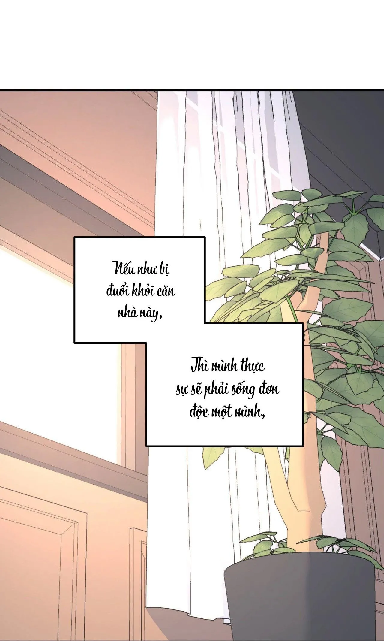 Cây Không Có Rễ Chapter 49 Trang 18