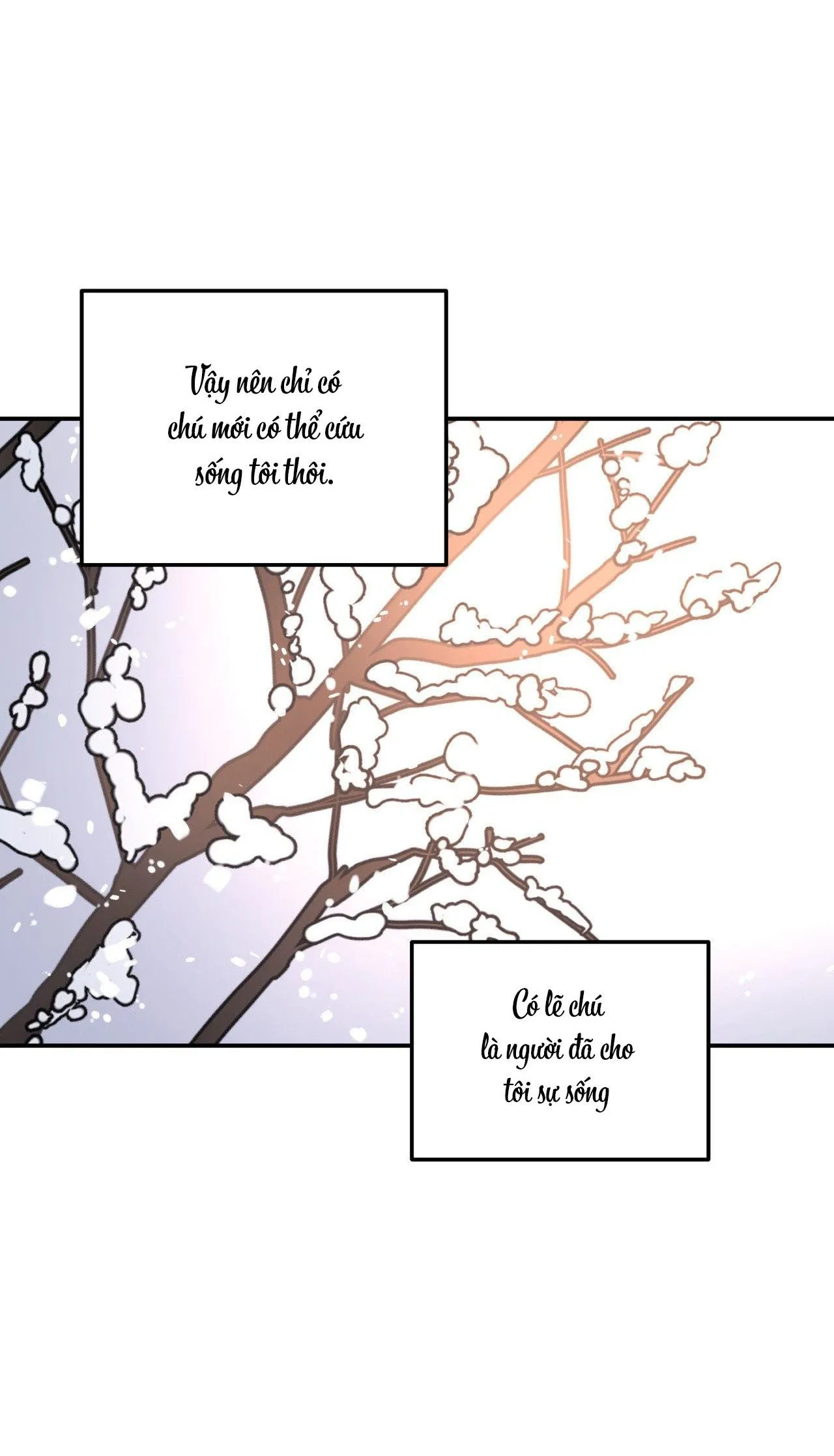 Cây Không Có Rễ Chapter 50 Trang 73