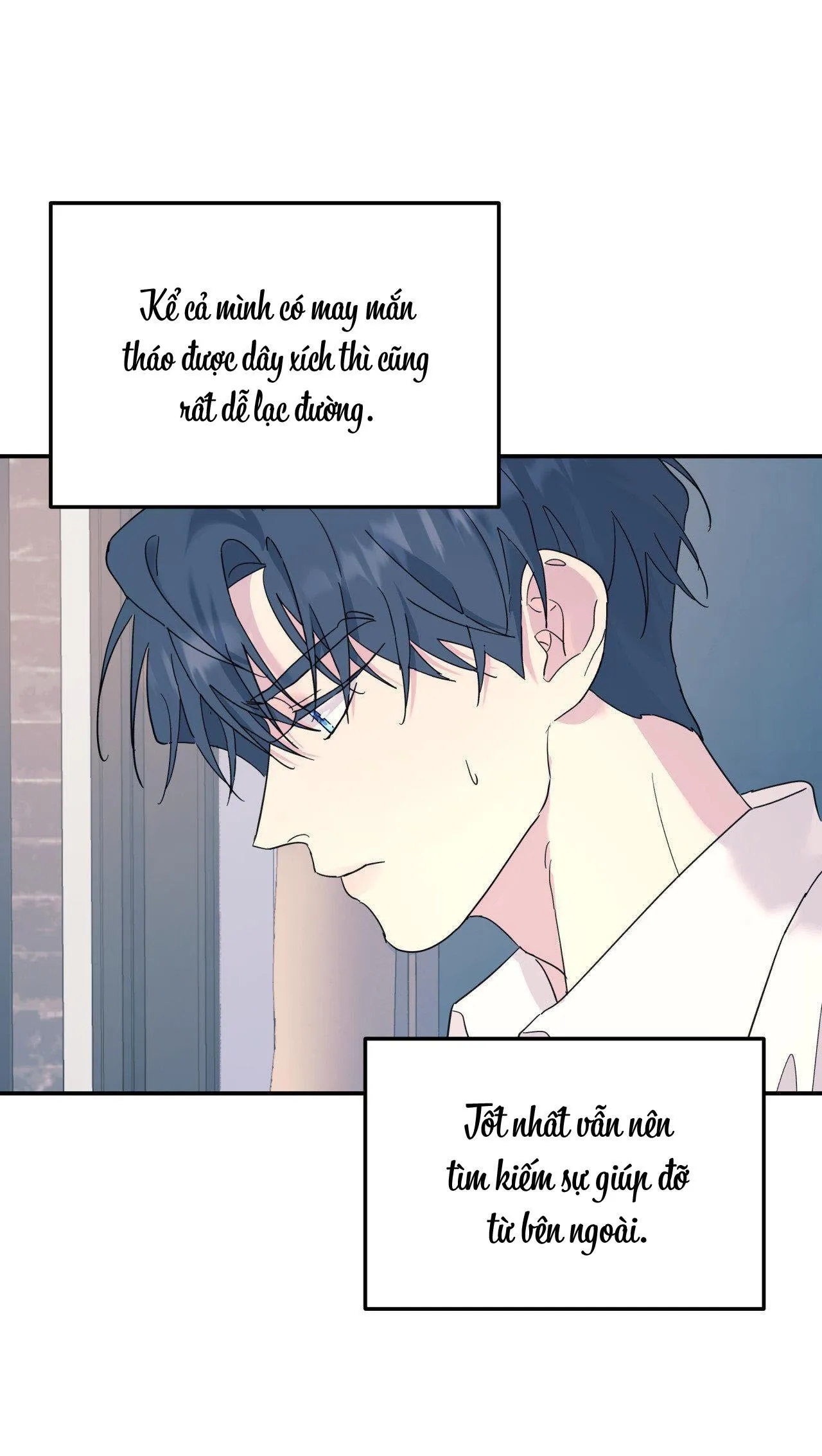 Cây Không Có Rễ Chapter 54 Trang 5