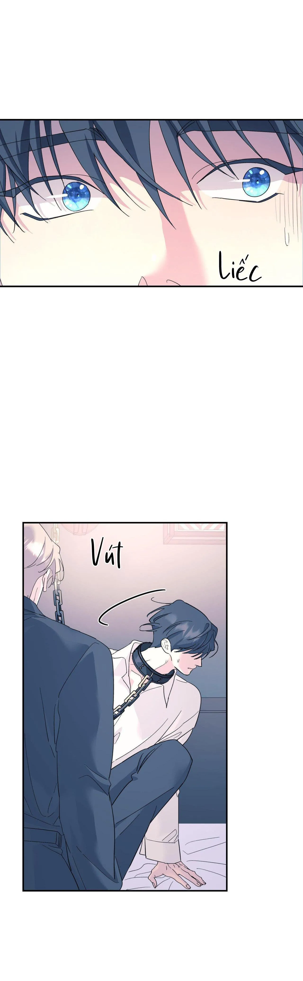 Cây Không Có Rễ Chapter 54 Trang 51