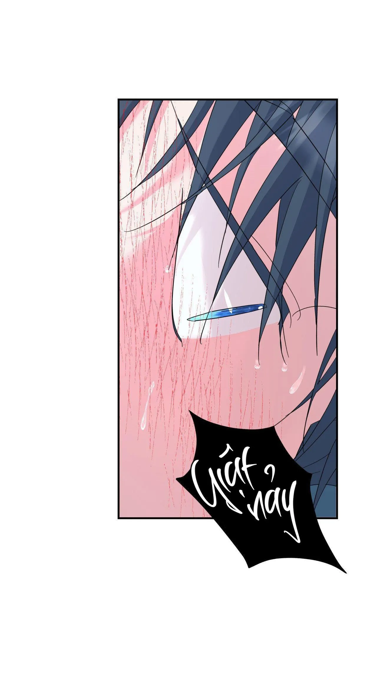 Cây Không Có Rễ Chapter 55 Trang 11