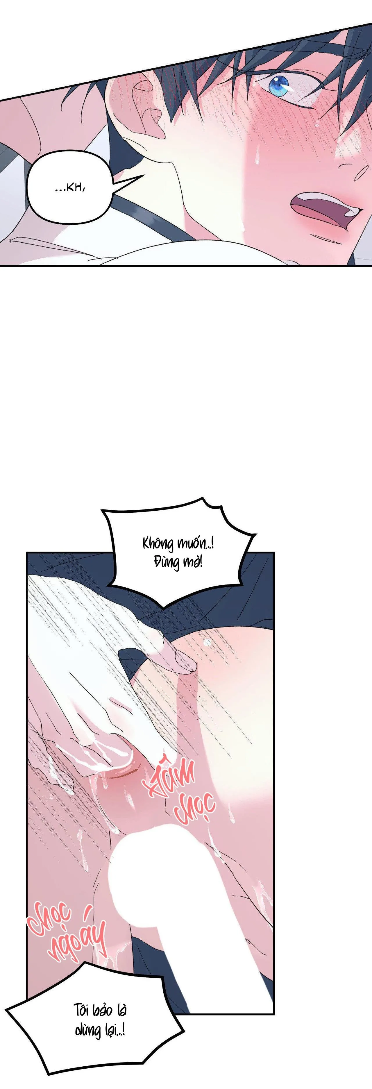 Cây Không Có Rễ Chapter 55 Trang 13