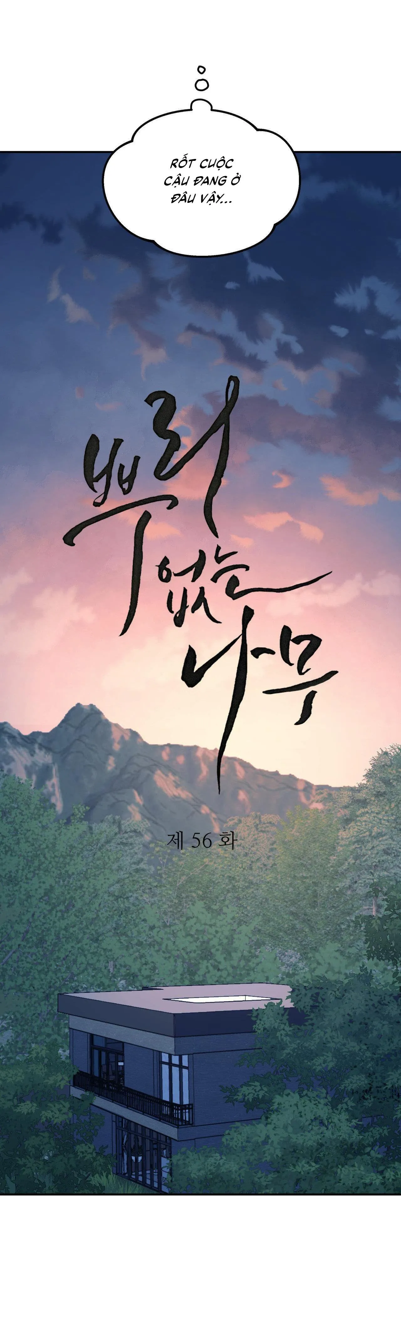 Cây Không Có Rễ Chapter 56 Trang 14