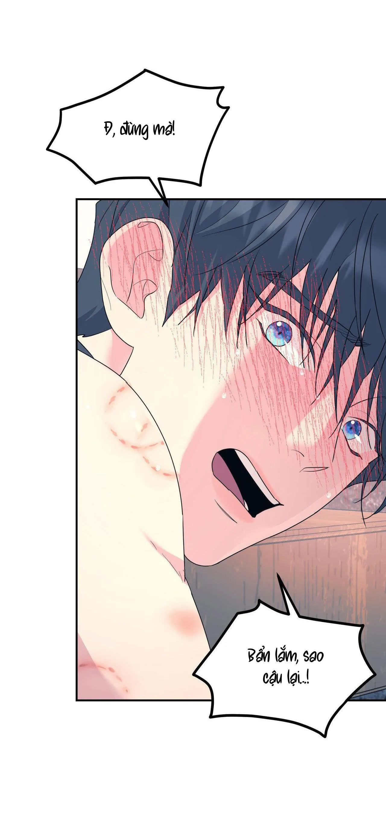 Cây Không Có Rễ Chapter 56 Trang 24