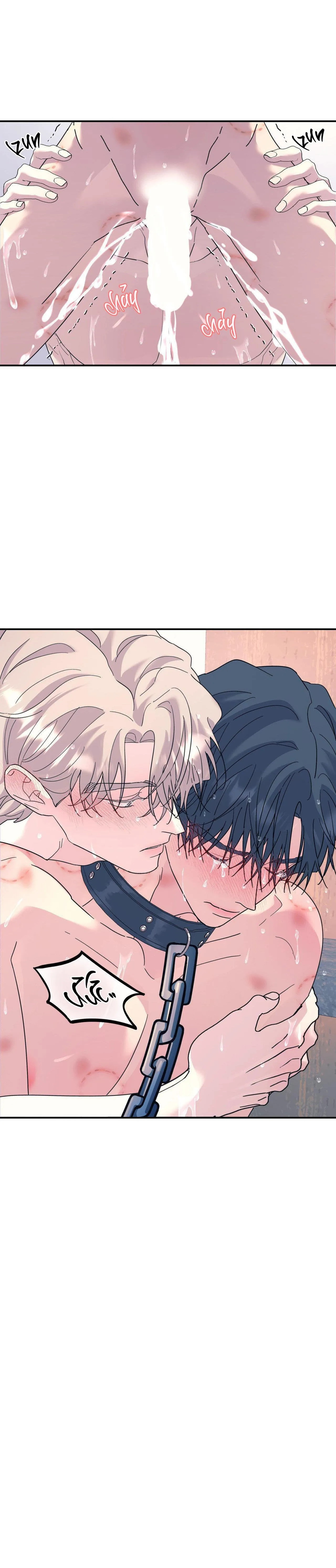 Cây Không Có Rễ Chapter 56 Trang 28