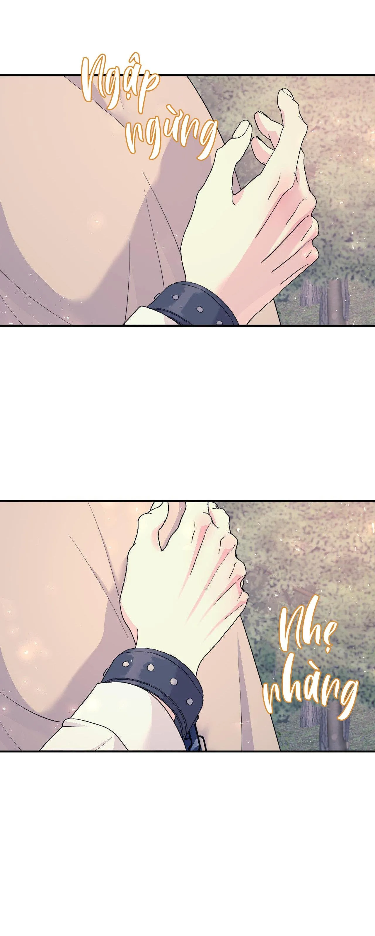 Cây Không Có Rễ Chapter 59 Trang 6