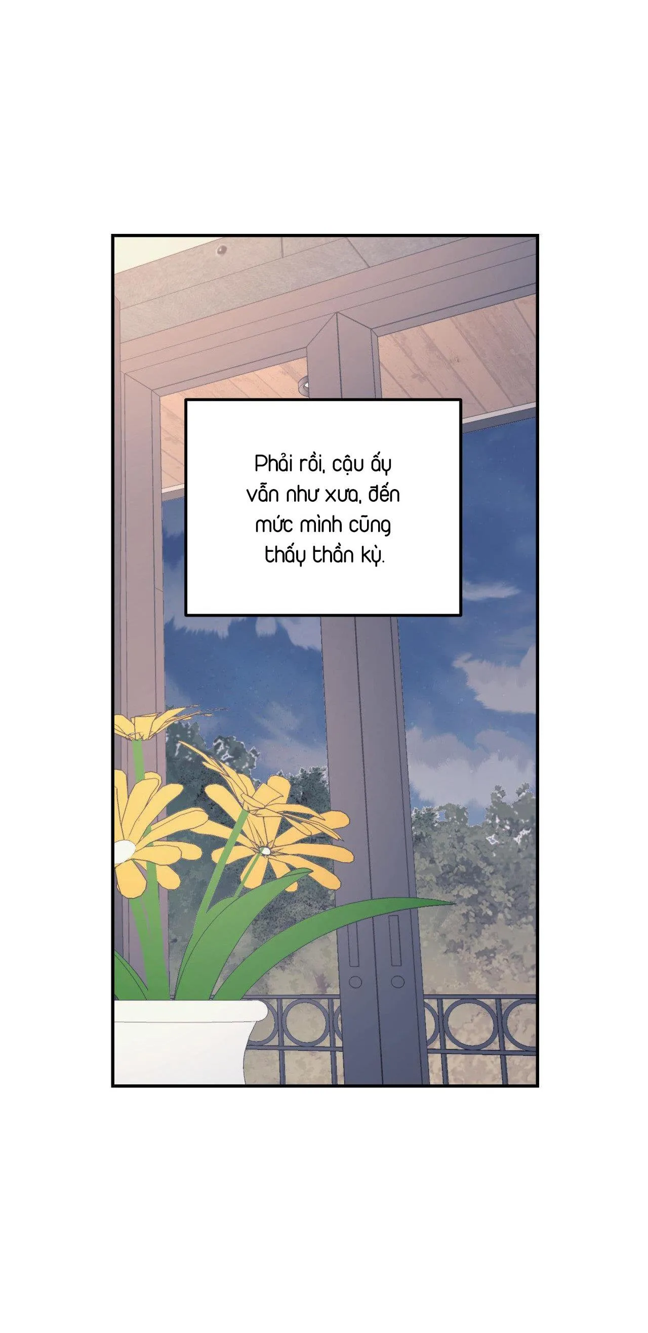 Cây Không Có Rễ Chapter 60 Trang 32