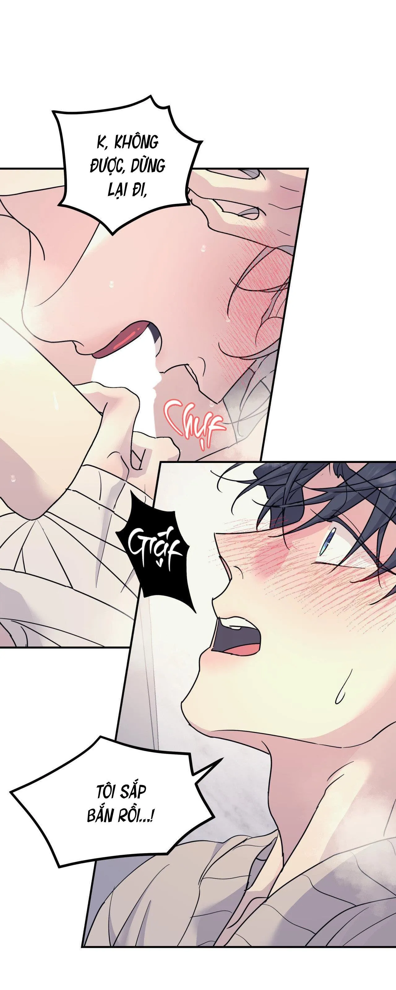 Cây Không Có Rễ Chapter 61 Trang 44