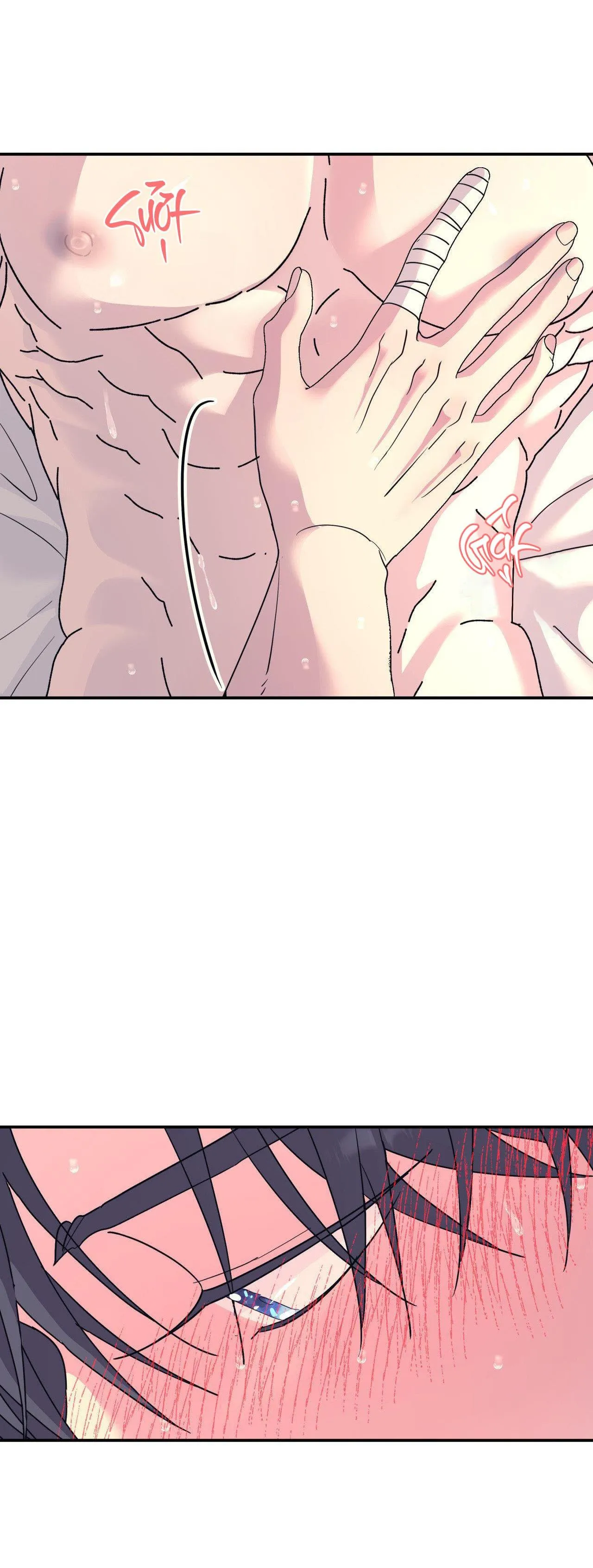 Cây Không Có Rễ Chapter 62 Trang 17