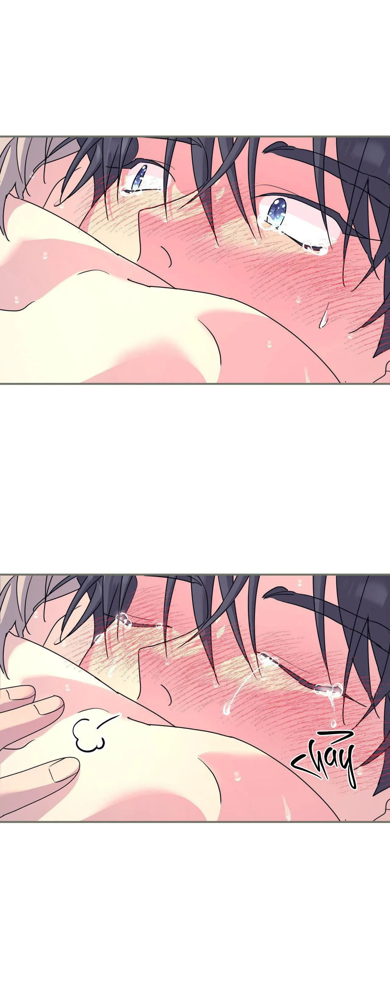 Cây Không Có Rễ Chapter 62 Trang 47